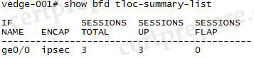 vEdge_show_bfd_tloc_summary_list.jpg