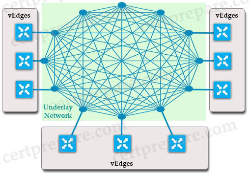 SD_WAN_Data_Plane.jpg