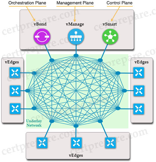 SD_WAN_Physical_Architecture.jpg