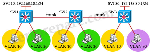 interVLAN_routing_some_MLS_dynamic_routing.jpg