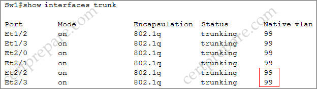 Sw1_show_interfaces_trunk.jpg