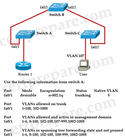 VTP_pruning_VLAN.jpg