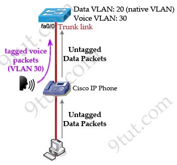 Cisco_IP_Phone_data_voice_VLANs.jpg