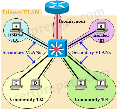 PVLAN_Primary_VLAN_Secondary_VLAN.jpg