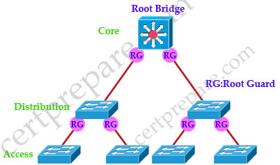 Root_Guard_Location.jpg