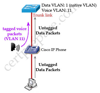 Cisco_IP_Phone_data_voice_VLANs.jpg